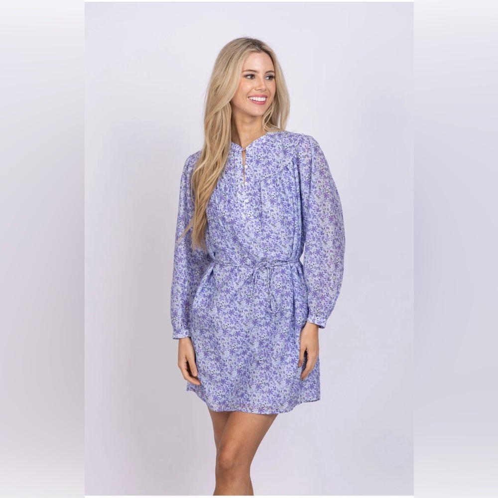 Xirena Bellamy dress in Blue Willow